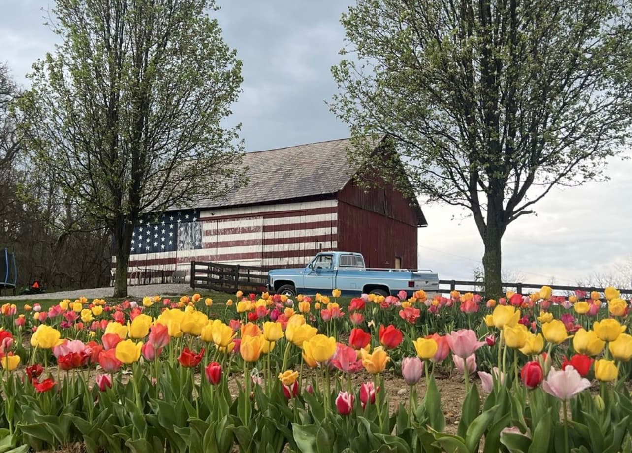 Pretty Petals Flower Farm cover photo