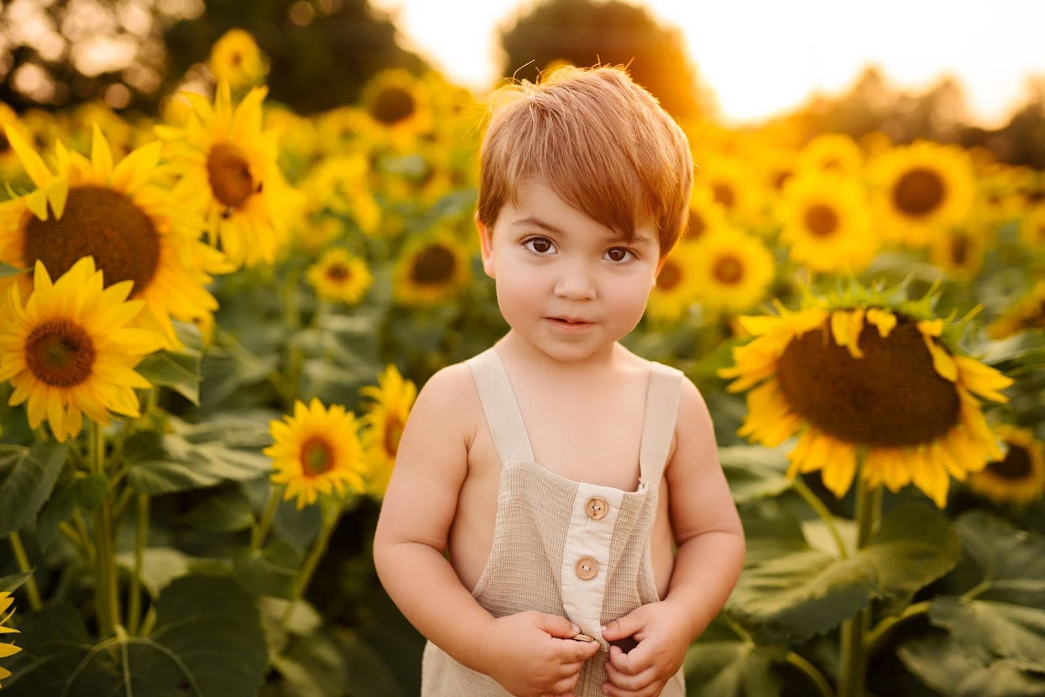 Stand Out Photography cover photo