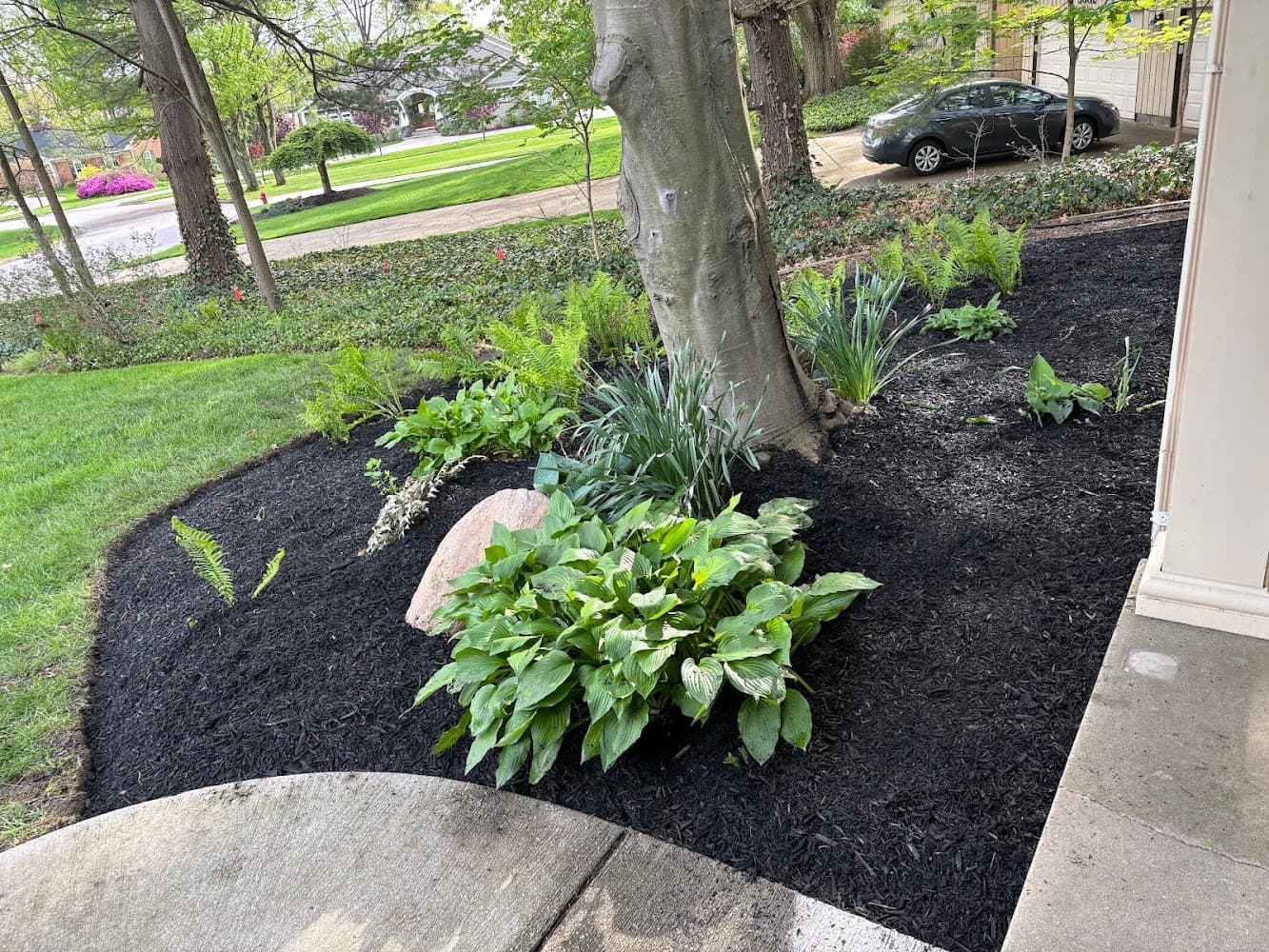 Going Yard Lawn & Landscape cover photo