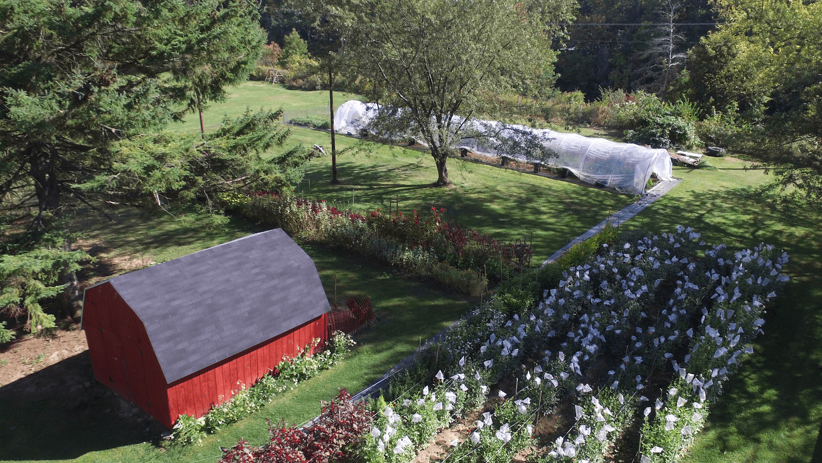 Woodland Acre Flowers cover photo