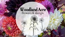 Woodland Acre Flowers