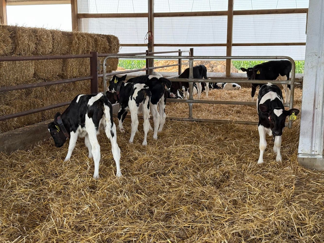 Lowmiller Farms cover photo