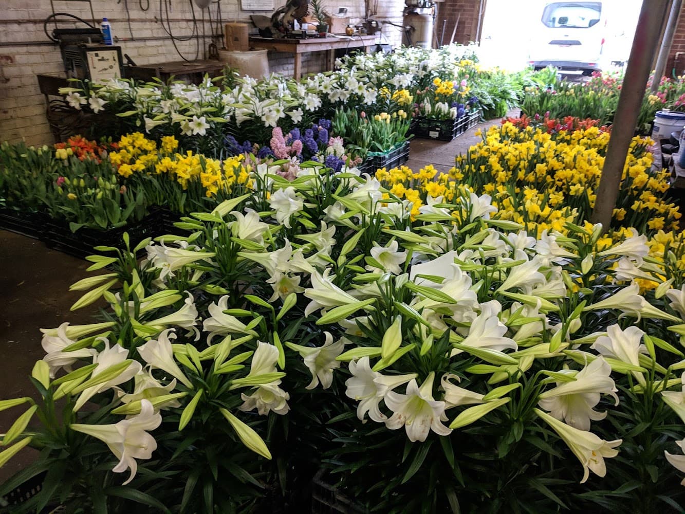 DeHoff Flowers, Greenhouse, and Landscaping, Inc. cover photo