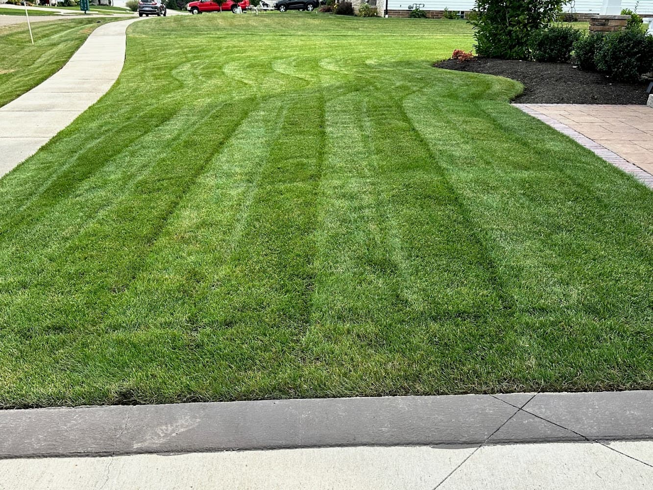 Grass Master Inc cover photo