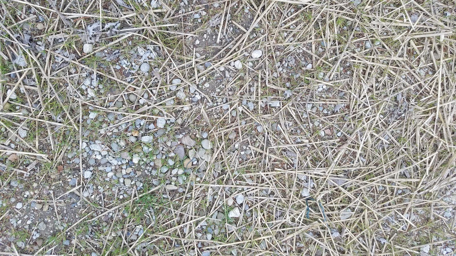 Nichols Lawn Services Inc cover photo