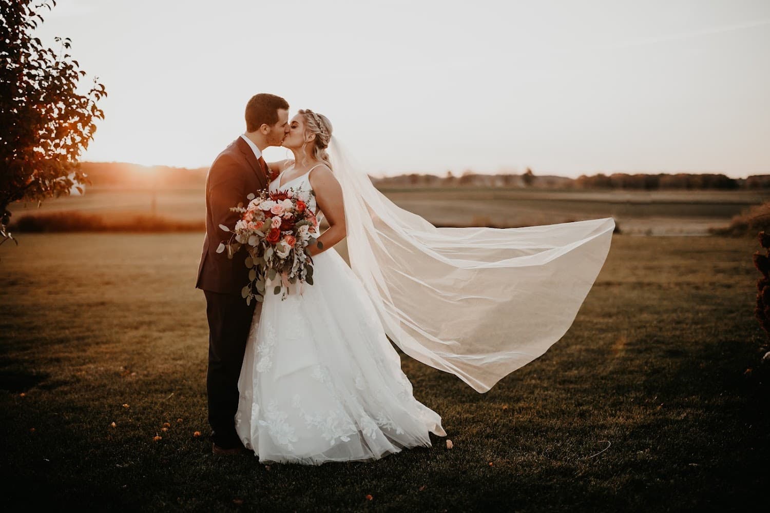 White Rose Barn cover photo