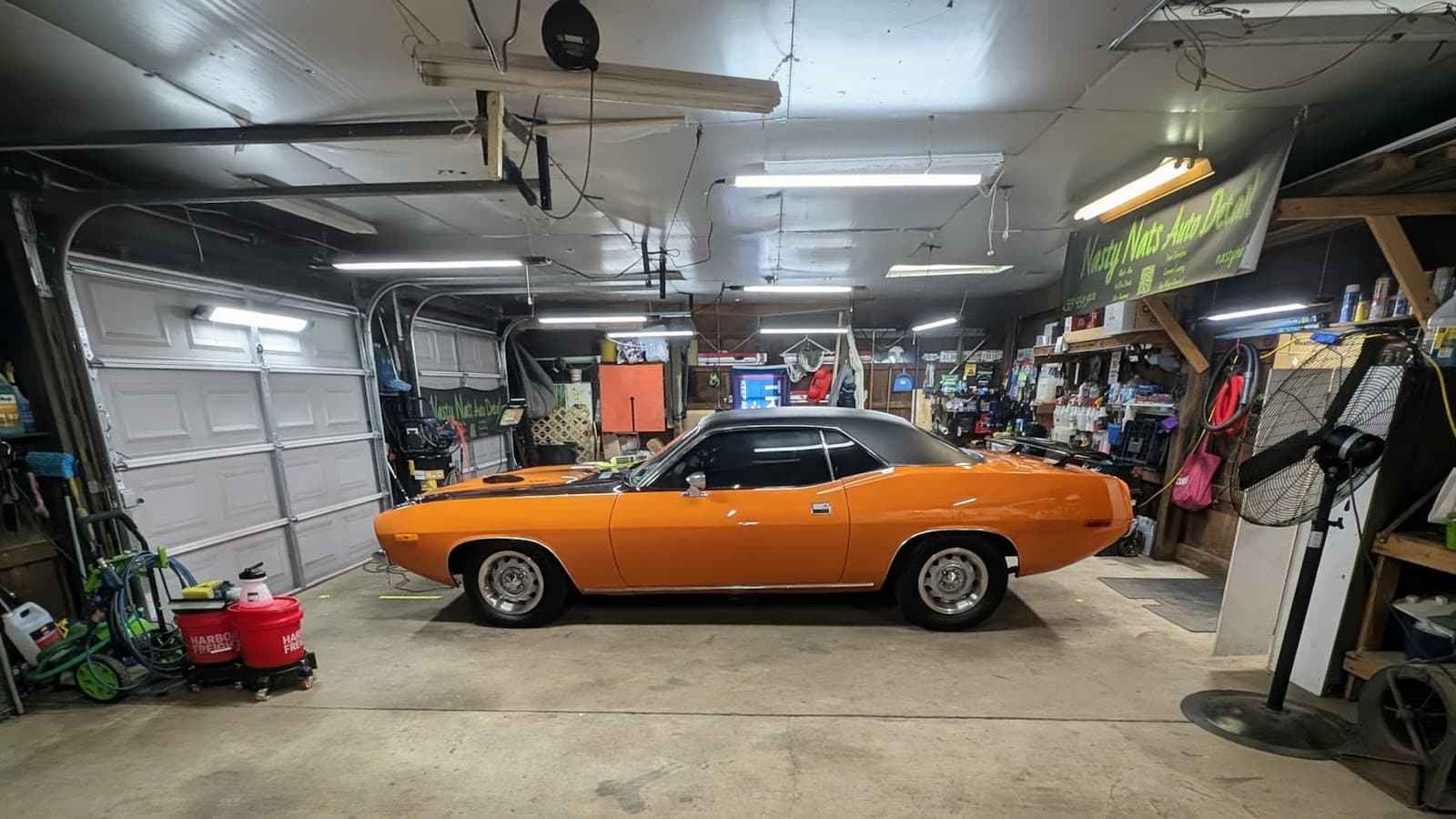 Nasty Nats Auto Detail LLC cover photo