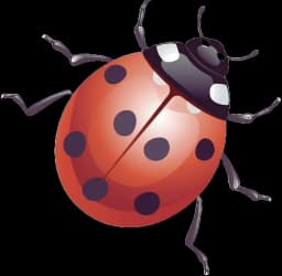 The Lady Bug Garden Center /Lawn Care
