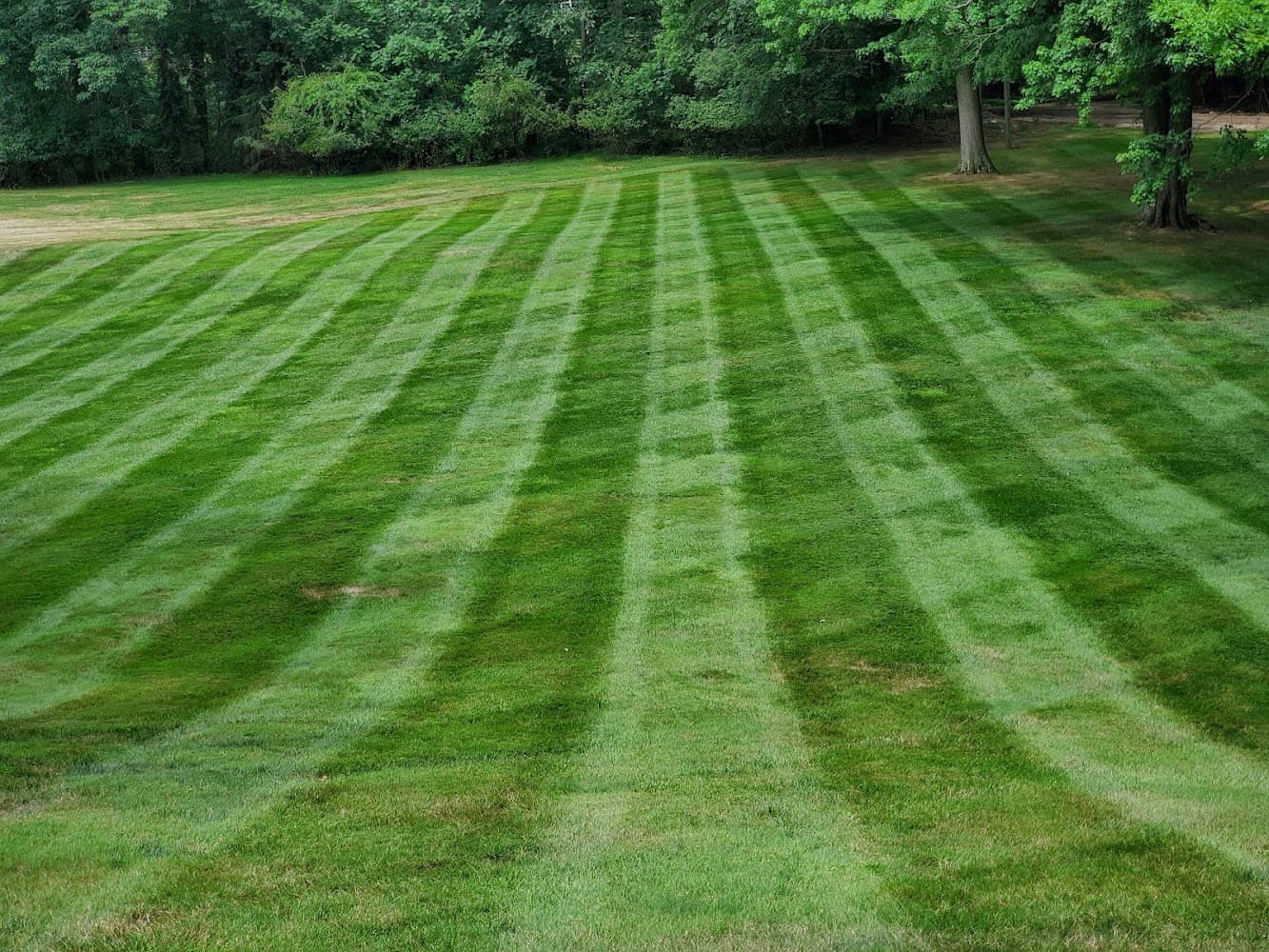 My Buckeye Lawn, LLC cover photo