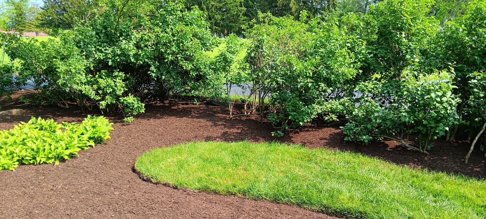 Duvall and Sons Lawn and Landscape cover photo