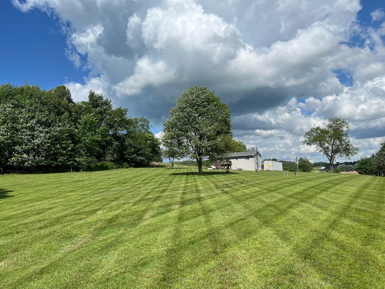 Yards & Stripes Landscaping LLC cover photo