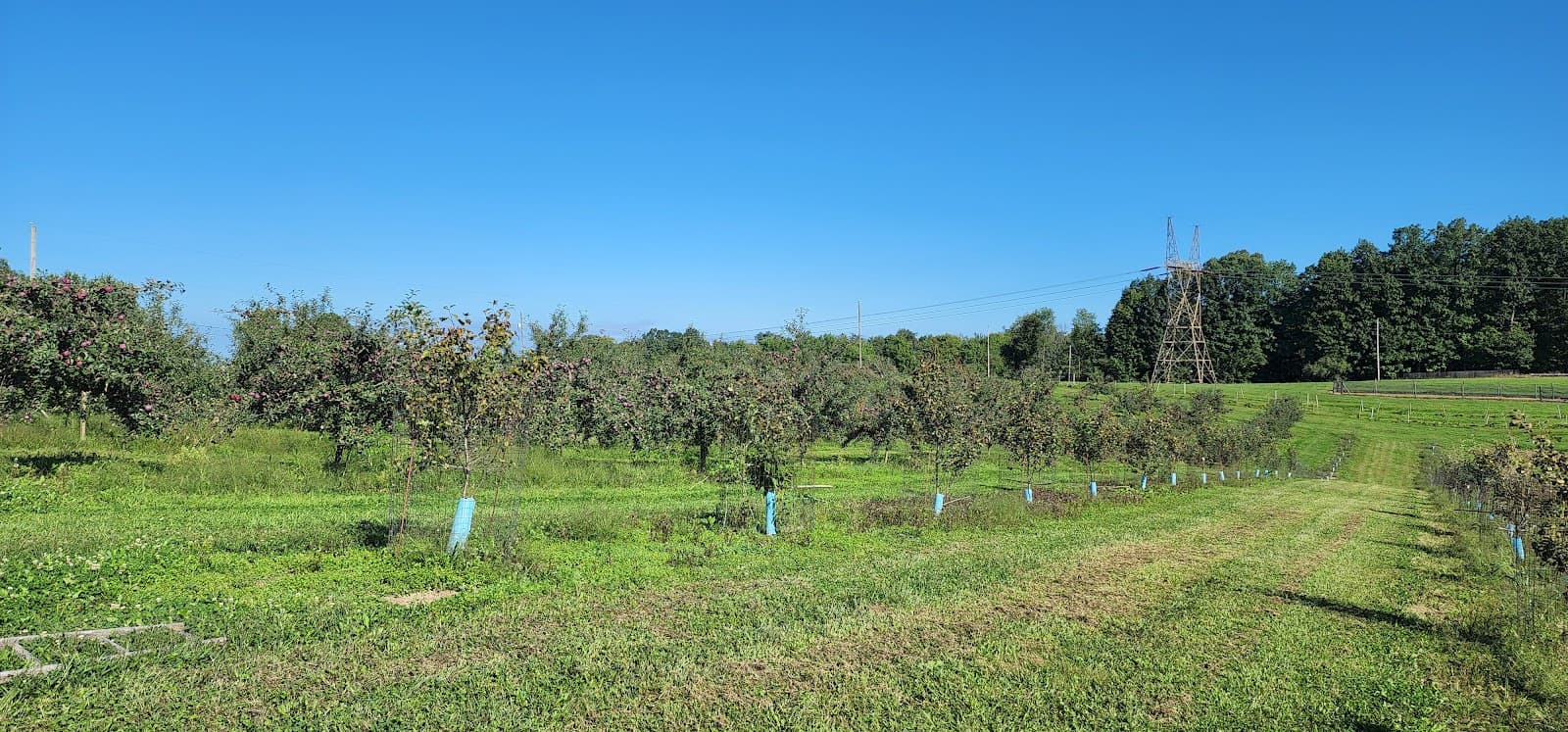 Varian Orchards-Apple Barrel cover photo